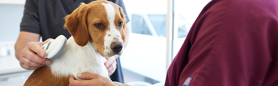 Zu Ihrer Information: